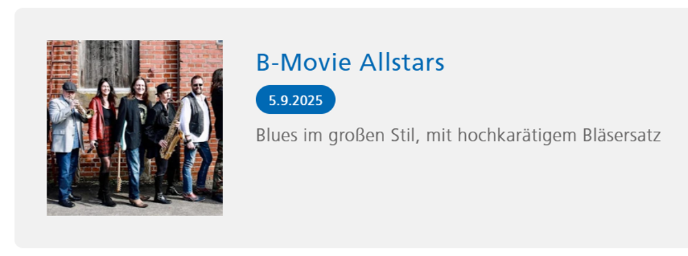 B-Movie Allstars @ "Kultur am See"